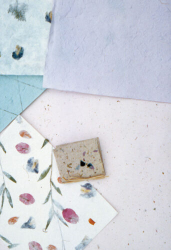 Make Seed Paper You Can Send and Plant